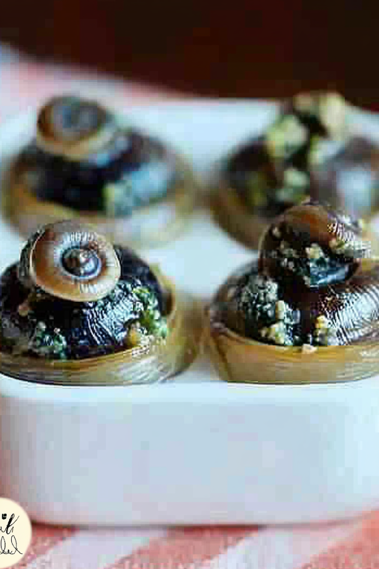 Snail recipe